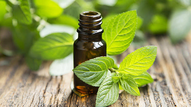 Recipe-Ease Bloating with Essential Oils