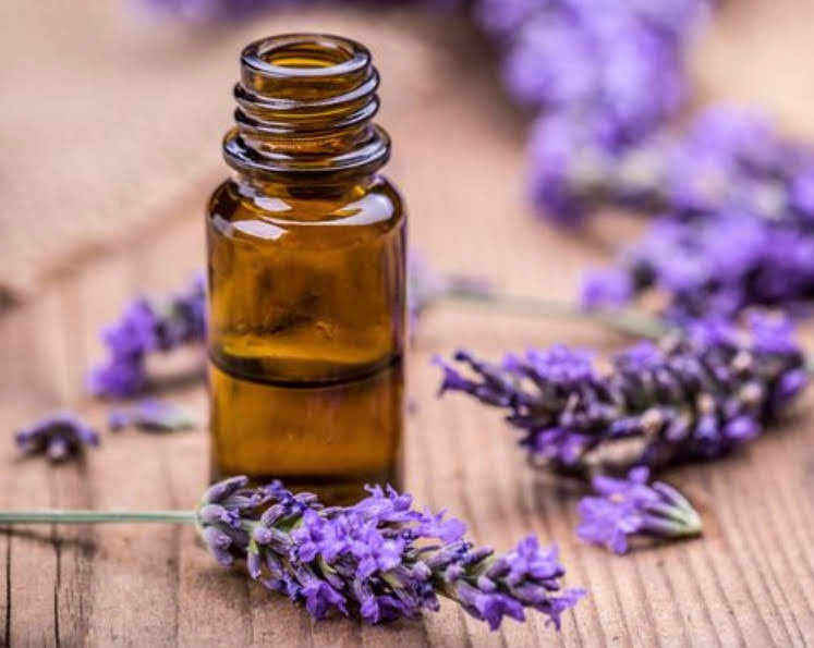 Ease Sunburn- Lavender Essential Oil